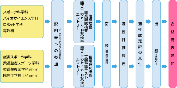 適性AO 適性キャリア