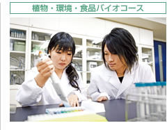 コース