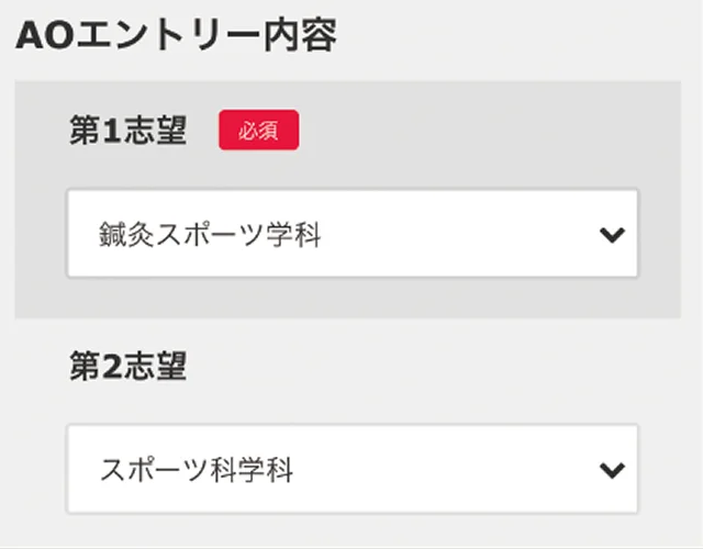 AOエントリー内容の画面