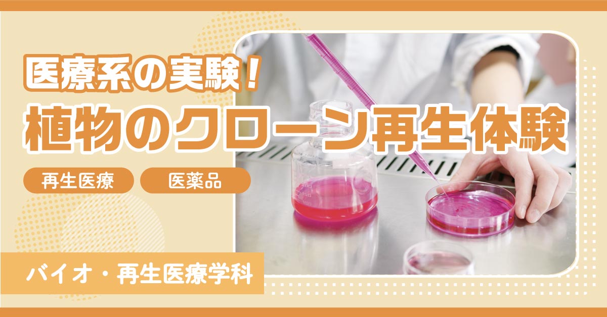 植物のクローン再生体験