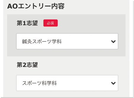 ネット適性AOエントリーの流れ