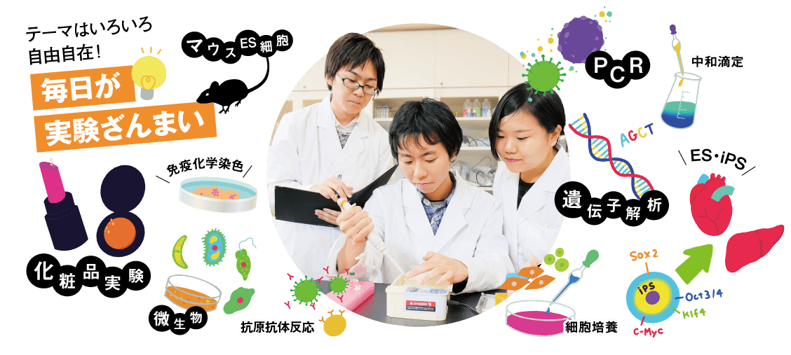 毎日が実験ざんまいのイメージ写真