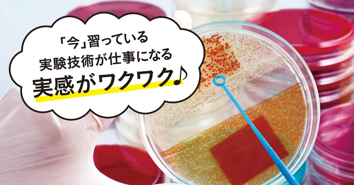 インターンシップ