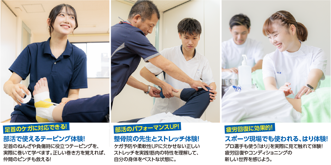 体験内容