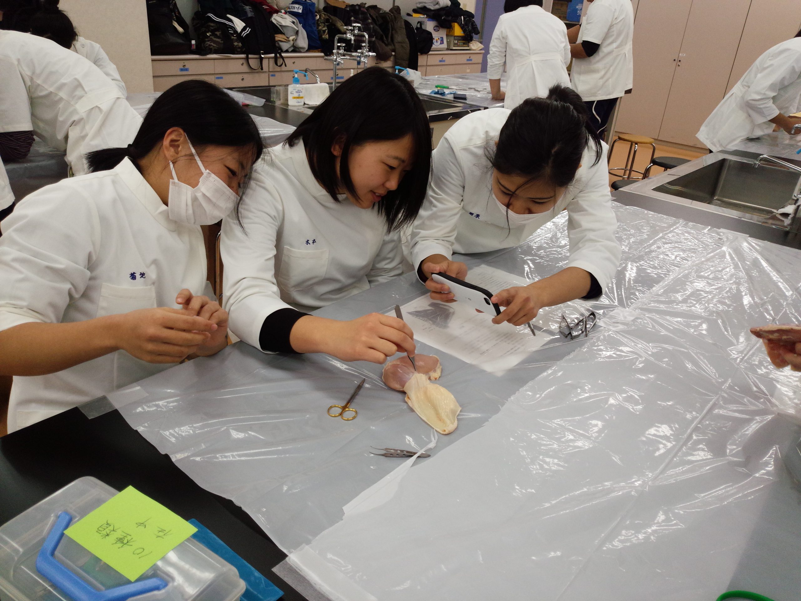 解剖学実習 - 大阪ハイテクノロジー専門学校