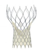 CoreValve