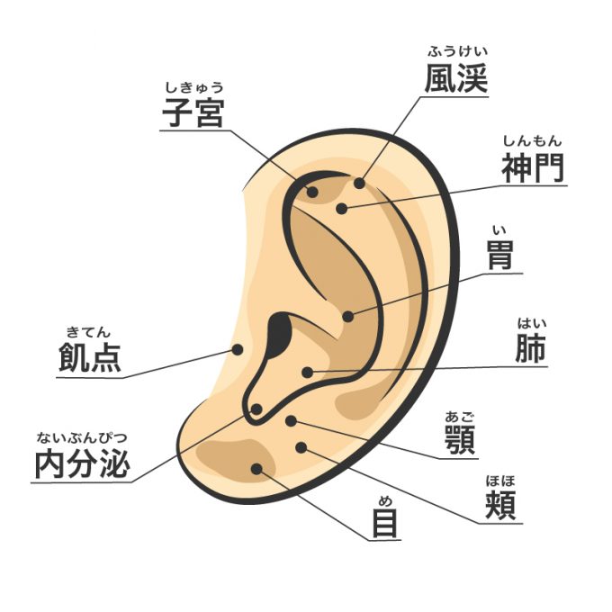 耳つぼ　画像修正済み