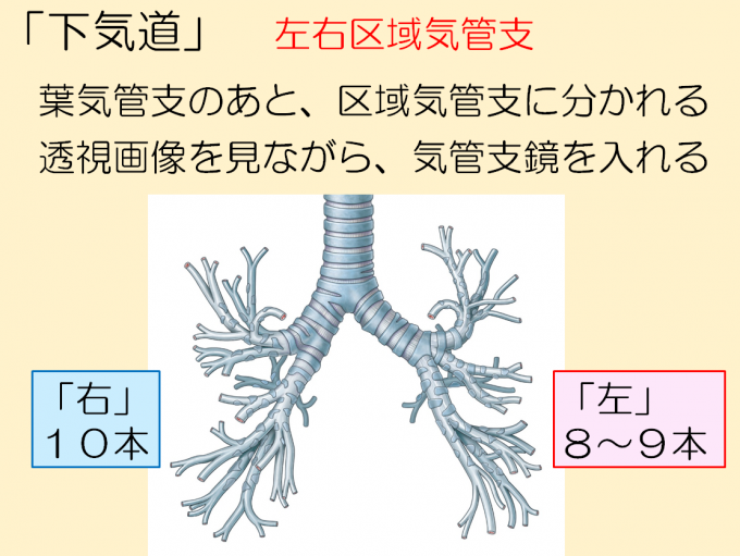 授業資料２