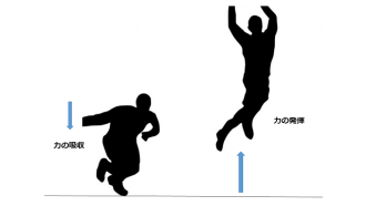 fig2_functional-training