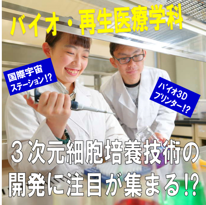 3次元細胞培養技術で臓器が作れる！？